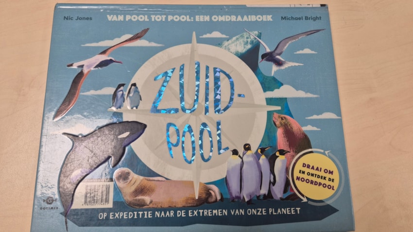 JPEG_20260126_145051_5033668396125753835