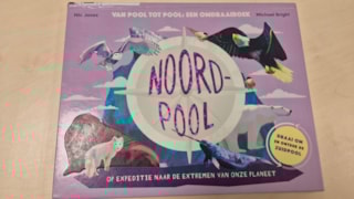 JPEG_20260126_145117_6528020464762741967