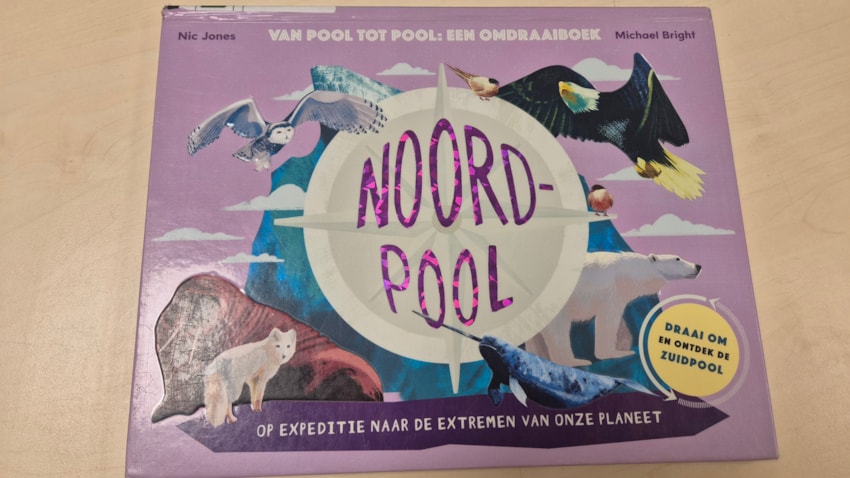 JPEG_20260126_145117_6528020464762741967