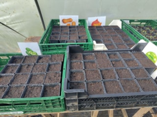 b1a1735c-e962-4eef-9b9f-e2b8efc78265