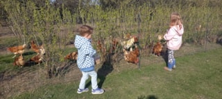 499c9c5e-0f8f-42e8-b386-db6baa5b1b8e