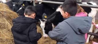 3d978a2b-cebd-48ff-9272-99d586c404aa