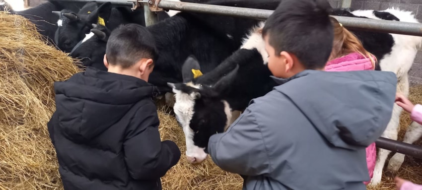 3d978a2b-cebd-48ff-9272-99d586c404aa